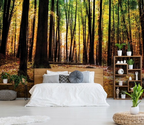 BOIS BROUILLARD ARBRES non tissé papier peint photo paysage moderne salon papier peint mural - Photo 29/59