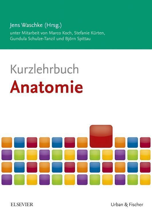 Thumbnail - Kurzlehrbuch Anatomie | Marco Koch (u. A.) | Taschenbuch | Xvi |