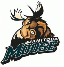 Manitoba Moose AHL Hockey Mens Polo XS-6XL, LT-4XLT Winnipeg Jets New