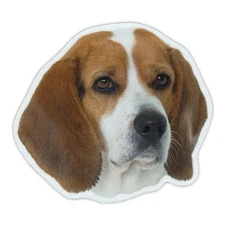 Magnetic Bumper Sticker - Beagle Dog Breed Picture Magnet - Cars, Trucks, SUVs