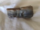 1.8oz Petrified Wood 2.5"+ x 1.25"+ — photo 7
