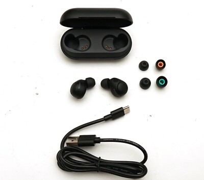 Sony WF-C700N Earbud in-Ear Wireless Noise Canceling Headphones Black  Ex