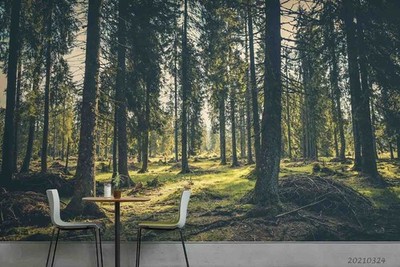 3D Pine Forest Landscape Wall Murals Wallpaper Murals Wall Sticker
