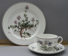 Villeroy & Boch Botanica  1  Teetasse mit Untertasse und Kuchenteller TOPP