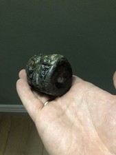 Large Ichthyosaur Vertebrae RARE