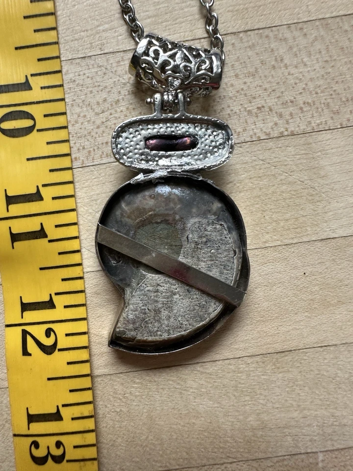 Hermoso fósil de amonita natural Foto 3 de 3