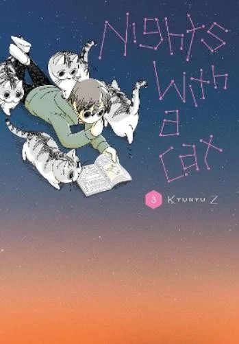 Stephen Paul Lys Blakeslee Nights with a Cat, Vol. 3 (Paperback) (UK IMPORT)