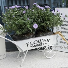 Wagon Planter Sturdy Easy to Use Garden Decor for Entryway Backyard Balcony