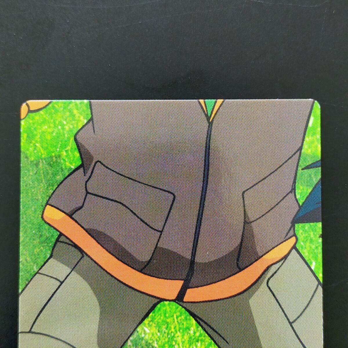 THE POKEMON WEEKLY　Spring1・2 PokemonBromideXYZ2016ZygardeCo