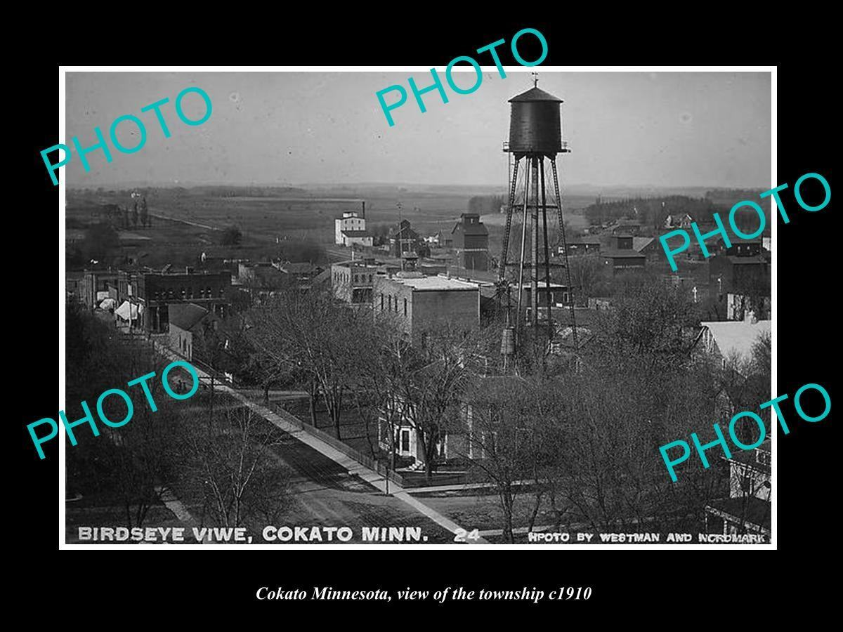 OLD 8x6 HISTORIC PHOTO OF COKATO MINNESOTA VIEW OF THE TOWNSHIP c1910