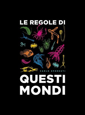 Books Carlo Lost - The Rules Of These Worlds
