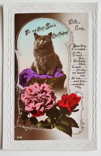 Carte Postale Vintage - Salutations D'anniversaire Avec Chats - 466957
