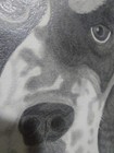 Bild 5 von 10