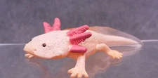 CollectA NIP * Axolotl * 80015 Amphibian Wildlife  Model Toy Figurine