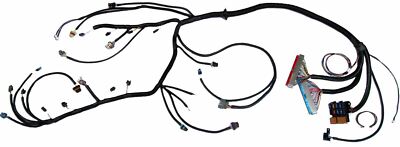 1998 - 2003 Vortec 4.8 5.3 6.0 Standalone Fuel EV1 Verkabelung Gurt W/4L80E (