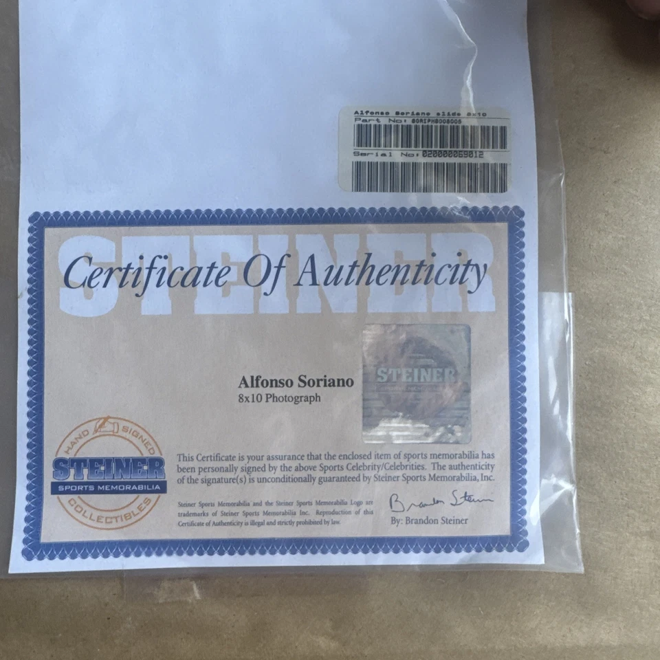 Alfonso Soriano Yankees Foto 4 de 4