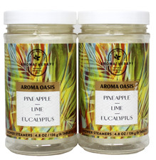 x2 Bath Body Works Pineapple Lime Eucalyptus Shower Steamers Oasis 6 Tablets