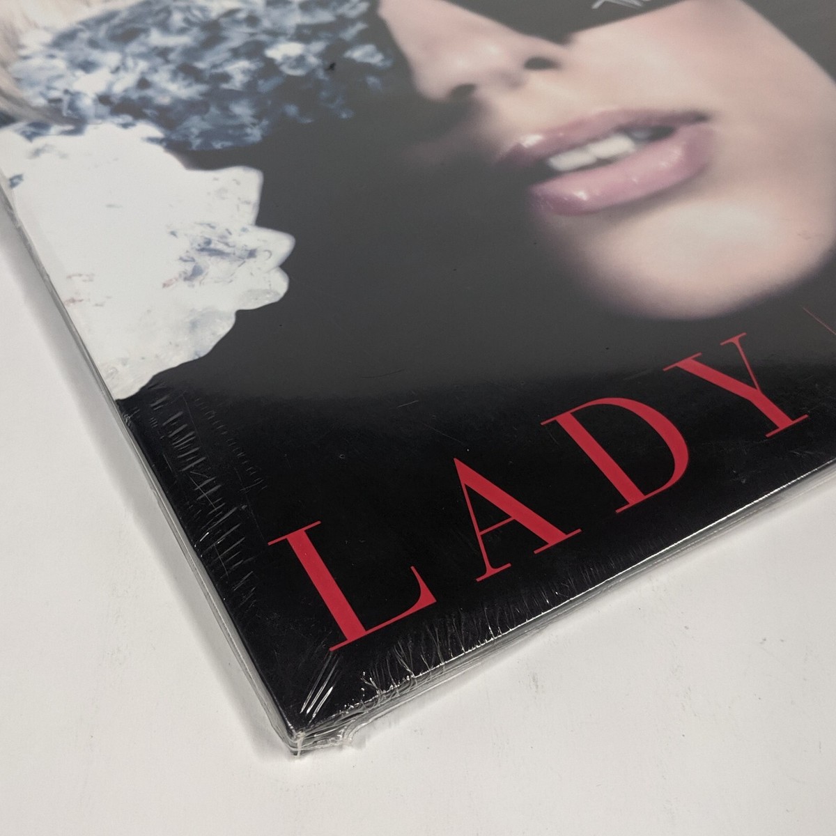 LADY GAGA The Fame レコード lp 12インチ R&B Lady Gaga - The