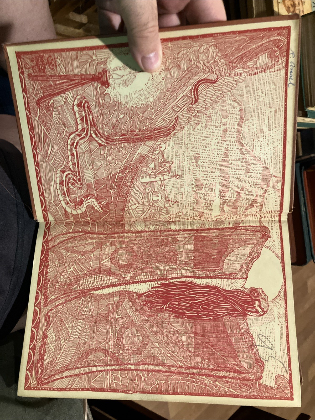 Picture 4 of 11