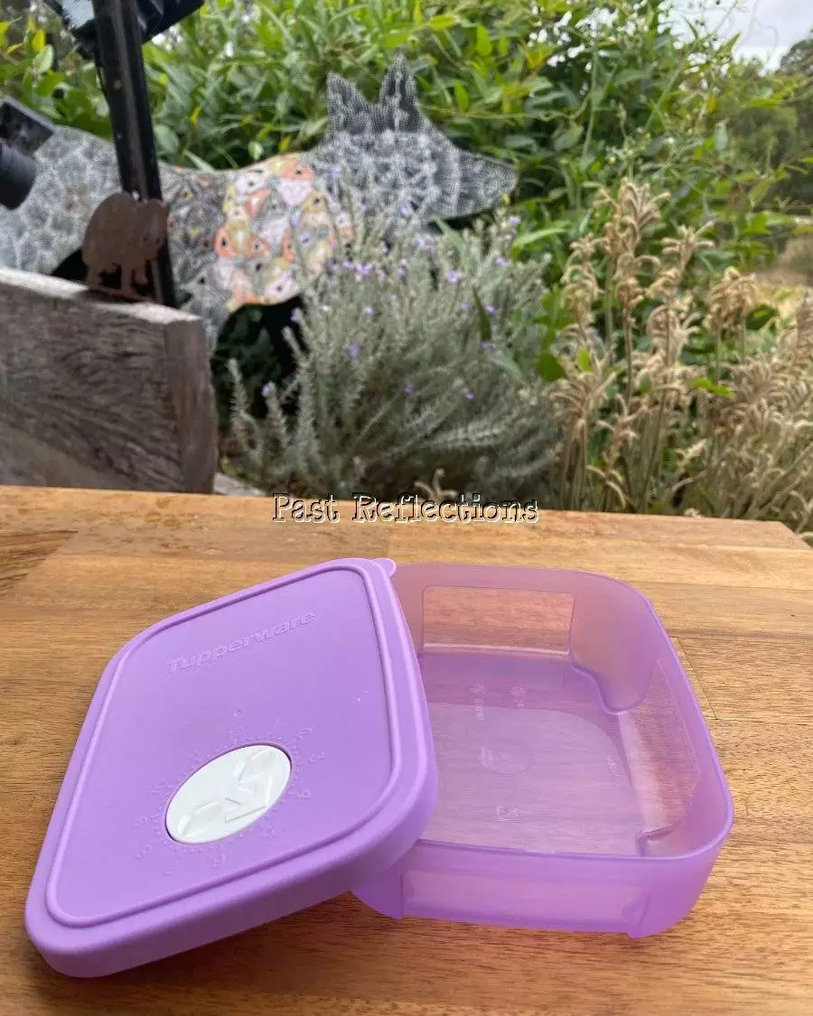 Tupperware Purple Food Storage Containers