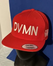 The Classics Yupoong DVMN Pigeon New York 9 Logo Red Snapback Hat Cap NWT