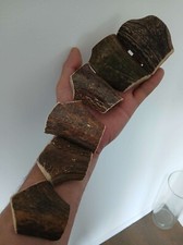 35.Knife handle.Scales For Knife Handle.Red Deer Horn.(NATURAL).