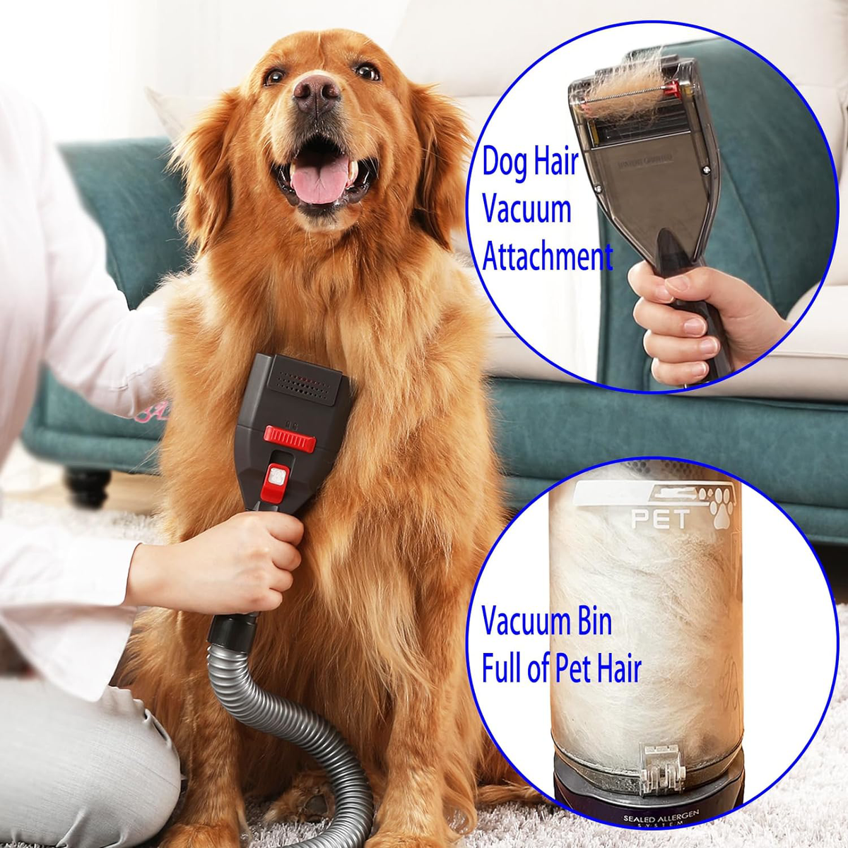 Grooming Trailer Best In Show Mobile Dog Grooming Mobile Grooming