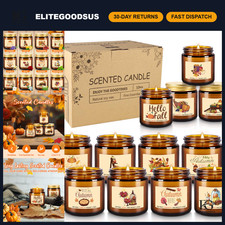 12 Pack Fall Scented Soy Wax Candles Gift Set - Autumn Harvest, Essential Oils,