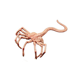 Fire Girl Toy 1/6 FG028 Predator Alien Facehugger Model Figure Scene Accessories