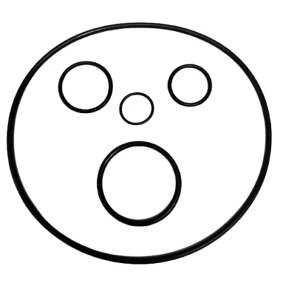 Dolphin Maytronics Guarnizione Box Motore 's Kit Robot Piscina E10 E20 E25 E30 E35 S100