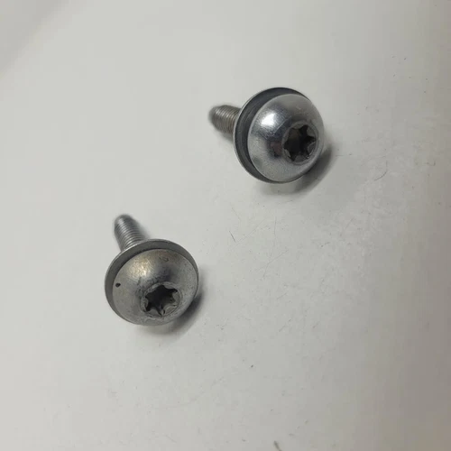 1988-1991 Ford F-150 Exterior Side Mirror Mounting Torx Screws Pair Set Of 2 OEM