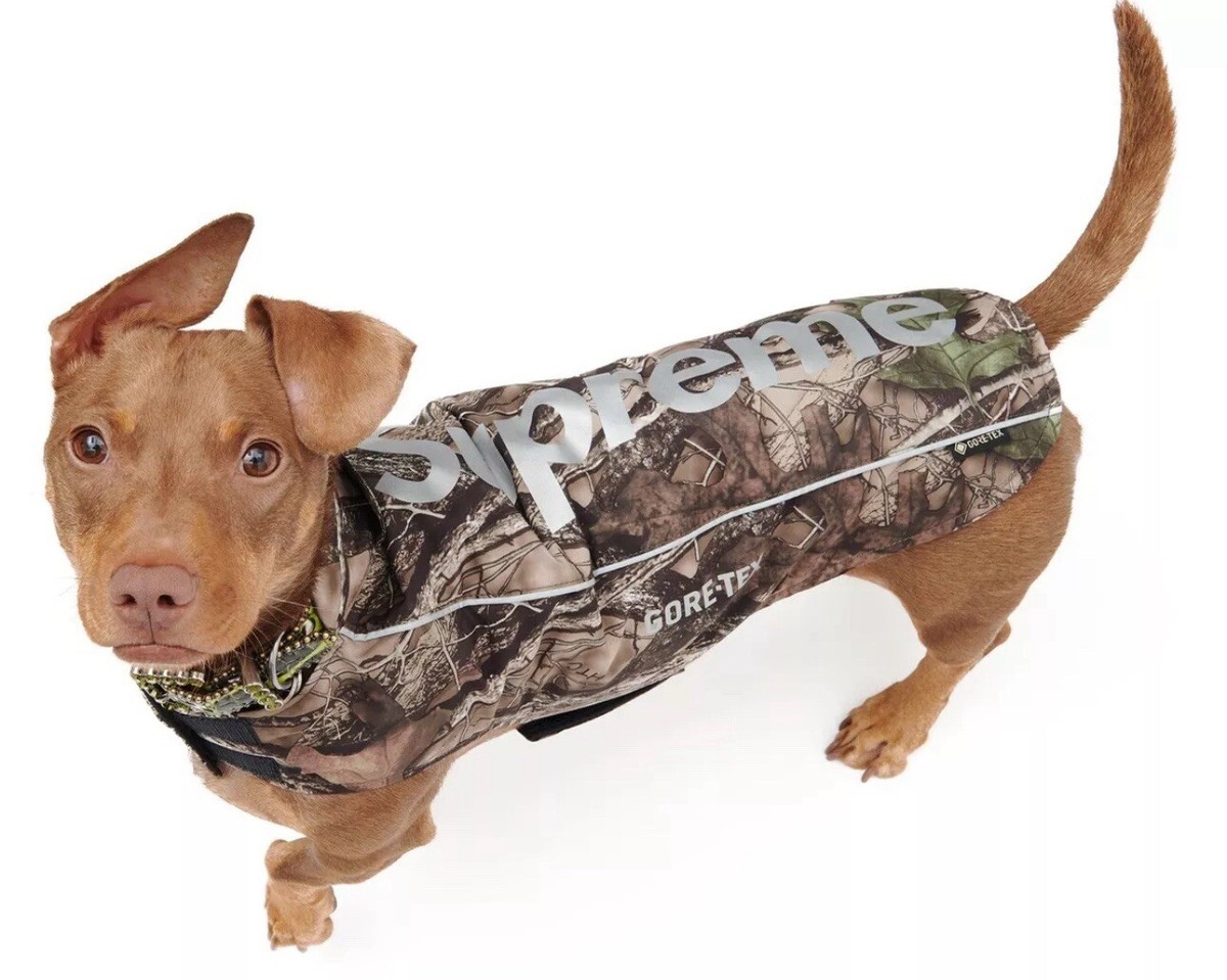 新品 定価24200円 Supreme GORE-TEX Dog Jacket Supreme GORE-TEX Dog Jacket TrueTimber HTC Fall Camo MEDIUM