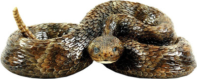 Western Diamondback Rattlesnake S by  Designs - Outdoor Snake Figurine for Garde