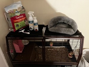 guinea pig cage