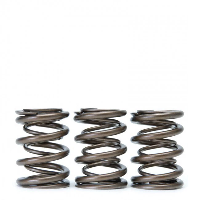 Skunk2 311-05-1350 Alpha Valve Spring Set for 1990-2001 Acura Integra 1.8L - Imagem 4 de 4