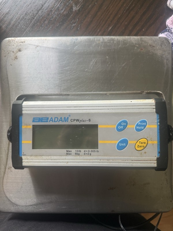 Adam CPWplus6 Digital Platform Scale With Scale Readout Head