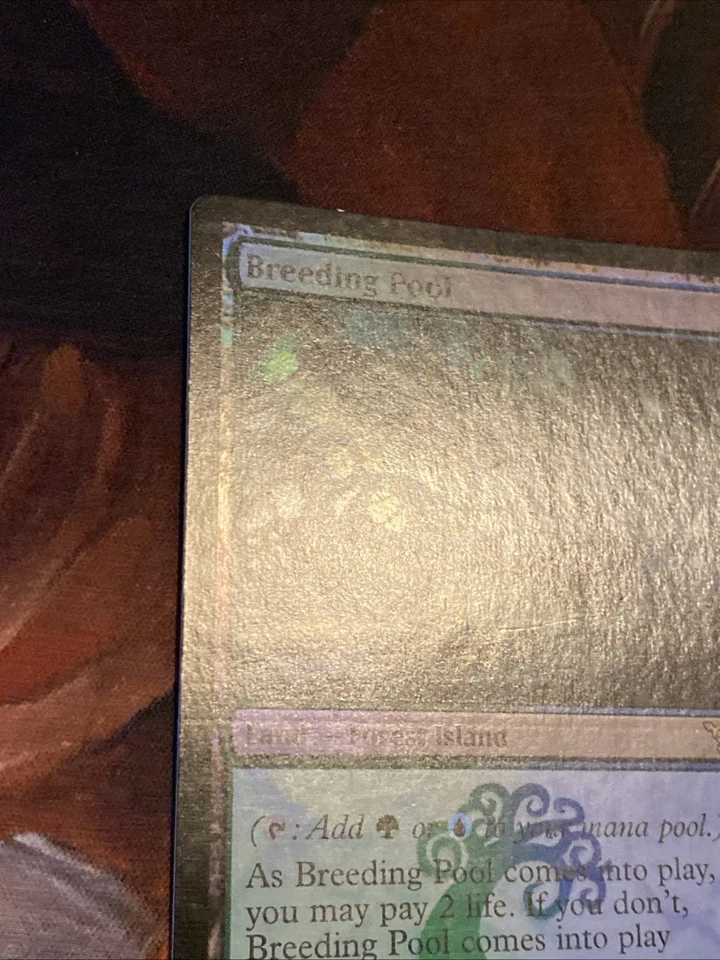 Breeding Pool X1 Mtg Dissension Mp (Slight Water Damage) Foil - Image 4 of 4