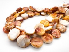 Natural Spiny Oyster Shell Flat Round Beads Rare Purple Orange Gemstone - SO2