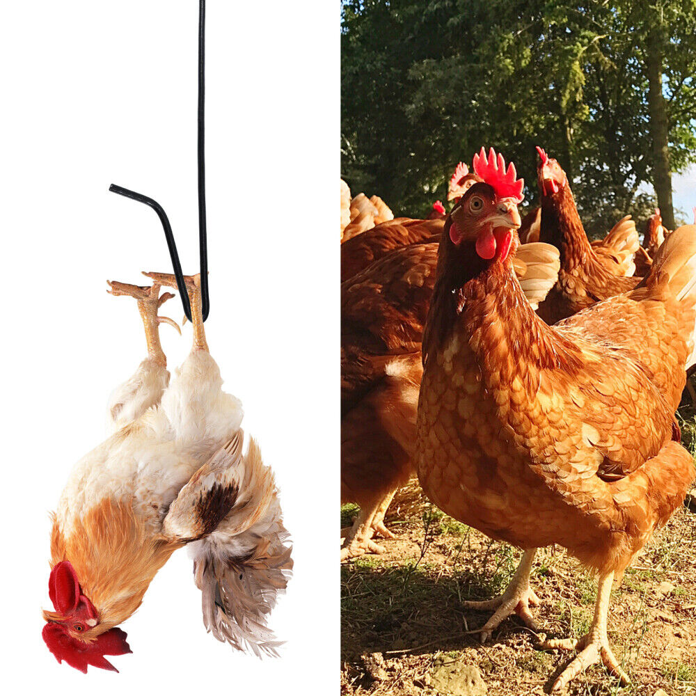 farm equipment Chicken - Up Pole Chicken Trapping Hook Pole