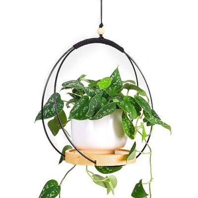 Wooden Base Plant Hanger for Indoor Hanging Plants,Hanging Plant Black |  eBay