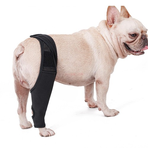 Dog Elbow Protector Pads Dog Legs Protector Dog Knee Brace Protective Sleeve❤❤ - Picture 40 of 78