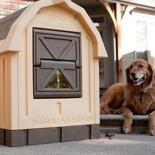 Insulated Dog House Large Doghouse Winter Dog Palace Med to Large Breed