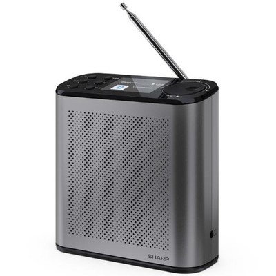 SHARP Osaka DR-P530 Radio Digital Mobil DAB/DAB+ 2.4'' Slide Show Display