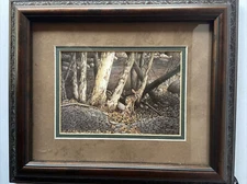 Elkhorn Encounter Print By Steven Spangler