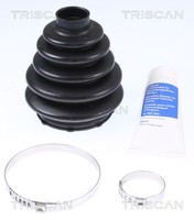 Triscan Faltenbalgsatz Antriebswelle 8540 16811 FüR Focus Ford Volvo MAX 3 2 DM2