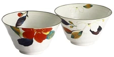Japanese Mino Ware Ramen Bowl Pair Set 'Floral Corridor' Gift Box [New Year]