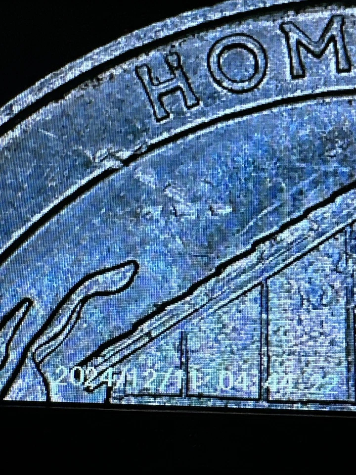 2015-D Nebraska Homestead Quarter Snow On Roof Multiple Die Chips/Cracks ATB - Image 4 of 4