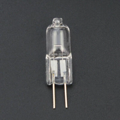20PCS Halogenlampe Birne 6V 20w Für spezielle Lampenperlen Mikroskopinstruments