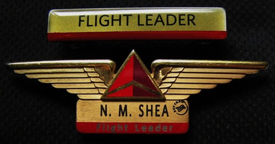 #ad VTG 3quot; DELTA AIR LINES AIRLINES FLIGHT ATTENDANT LEADER WING amp; PIN BAR BADGE $125.00