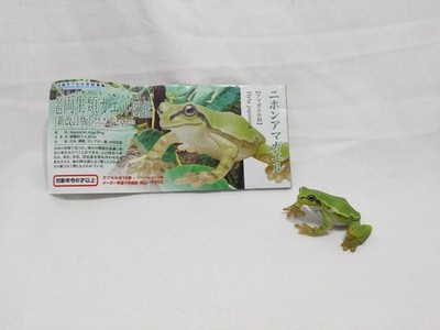 Yujin The Frogs in Colour Mini Figure - Japanese Tree Frog Hyla Japonica 2006